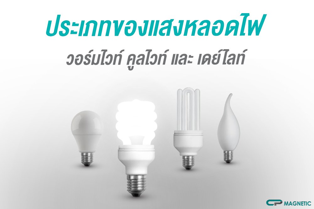 ประเภทของแสงหลอดไฟ วอร์มไวท์ คูลไวท์ และ เดย์ไลท์